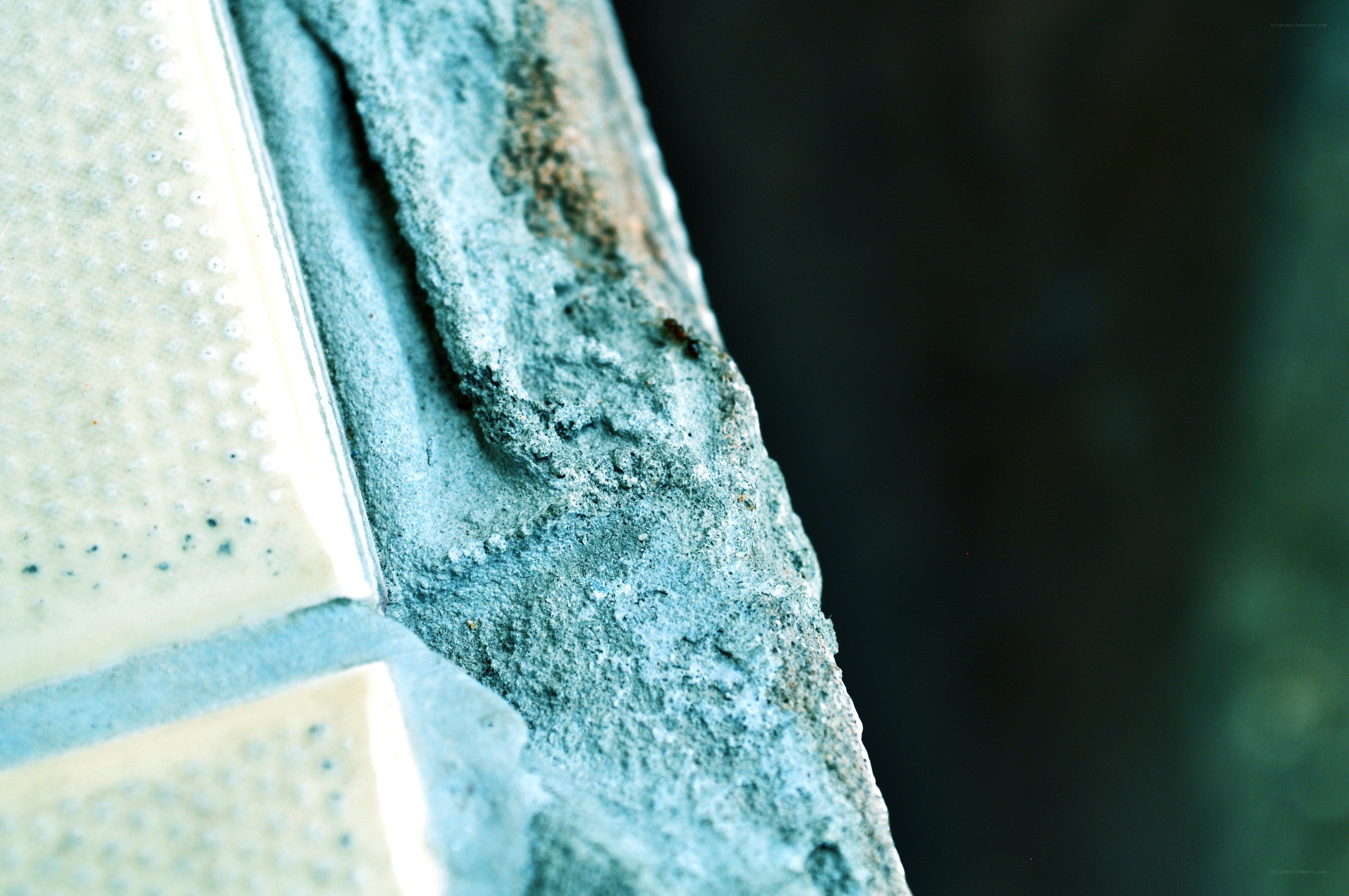 close-up of textured surface