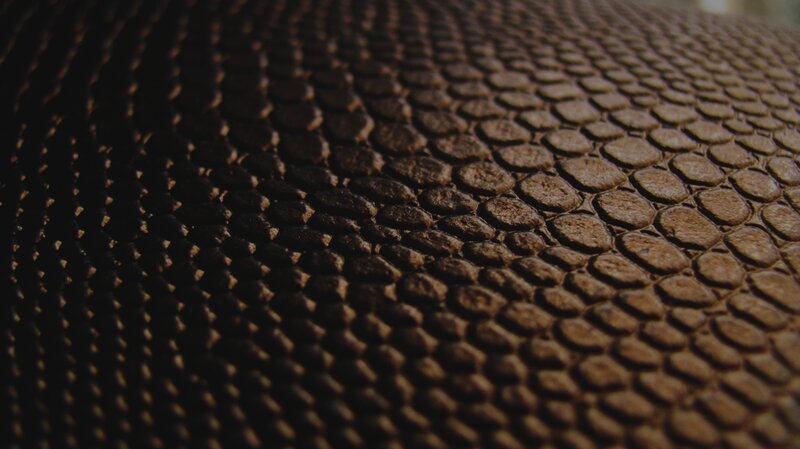 Close-up of Textured Surface — Brown, Dark, Photograph, Patterned Texture