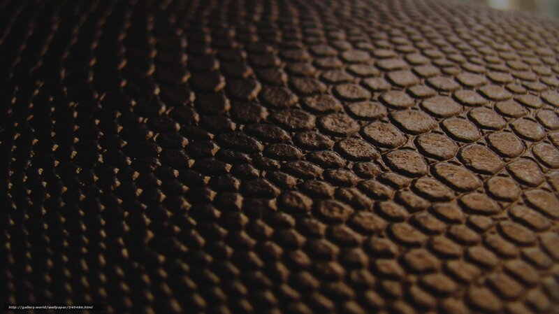 close-up of textured surface