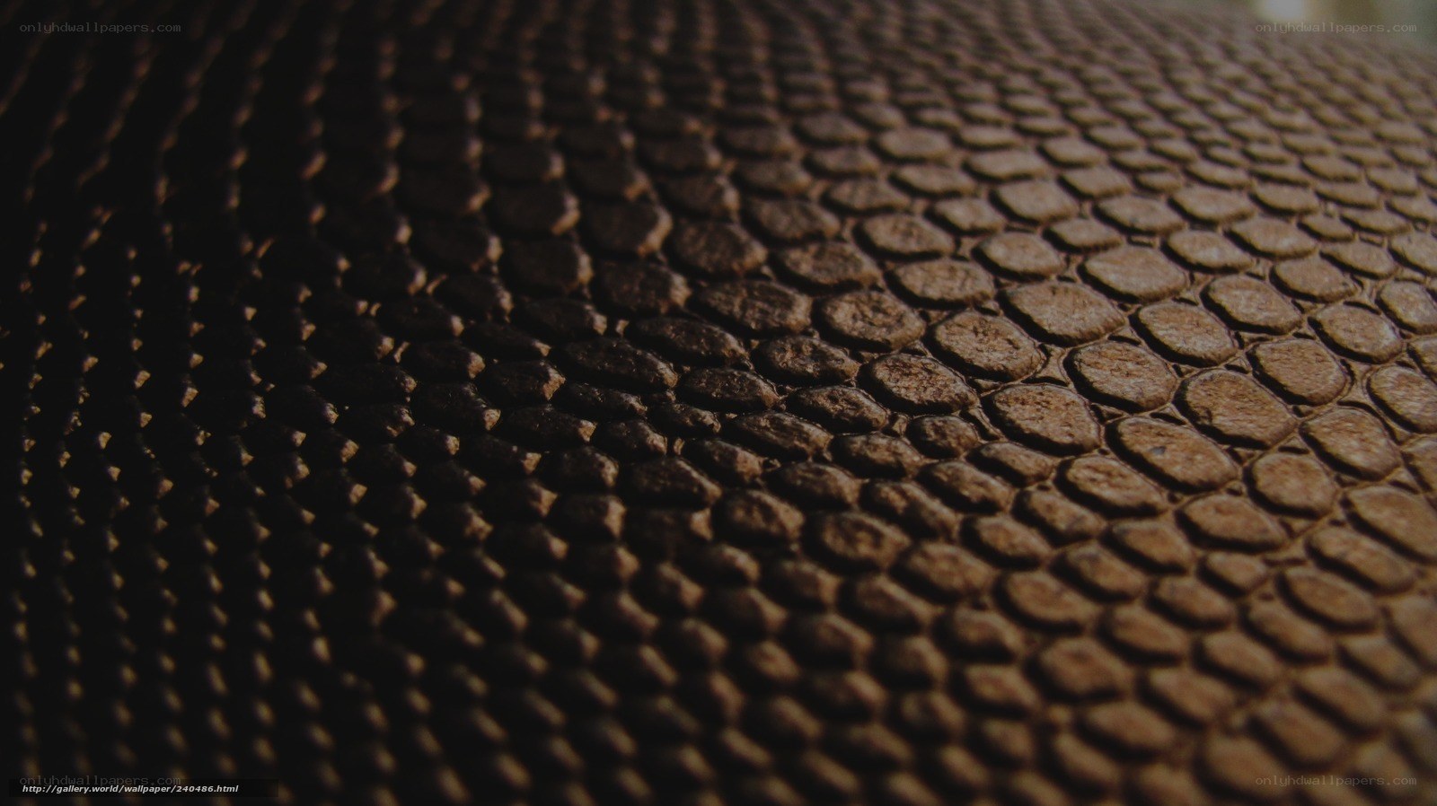 close-up of textured surface