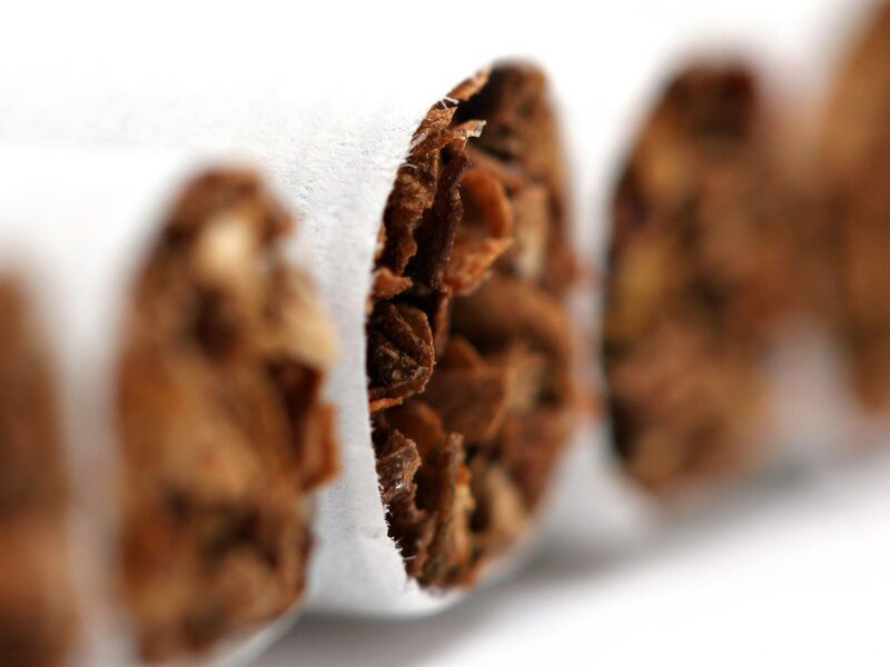 close-up of tobacco inside cigarettes