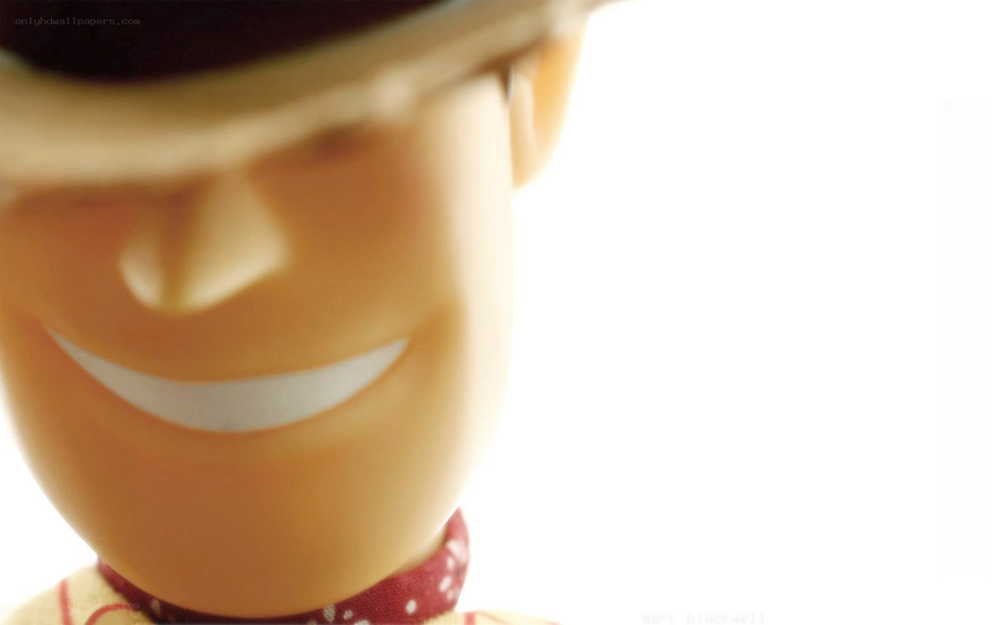 close-up of toy character