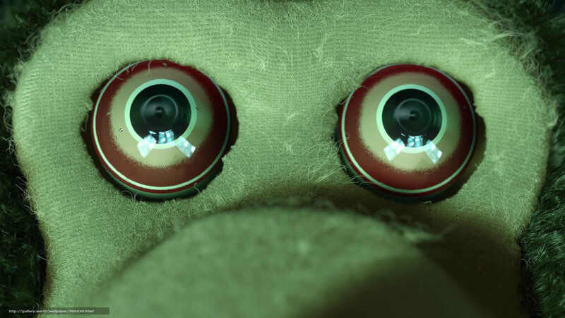 close-up of toy eyes
