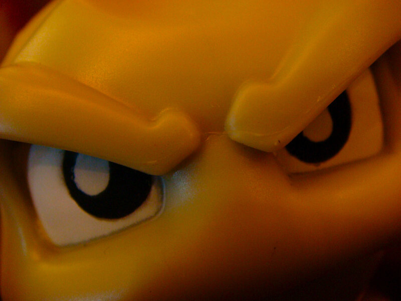 close-up of toy eyes