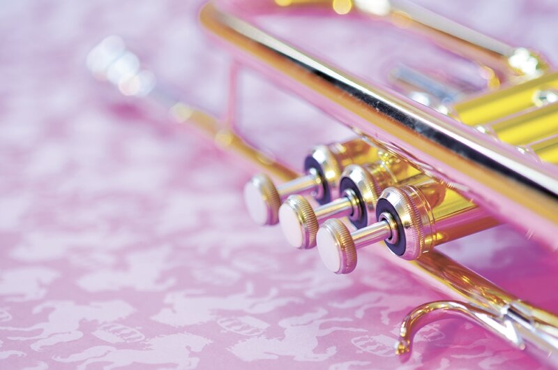 Close-up of Trumpet — Pink