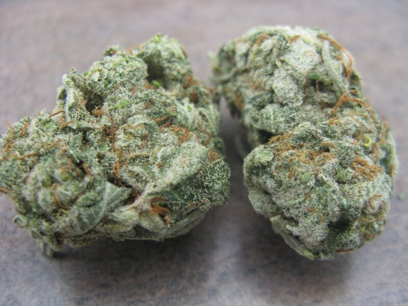close-up of two cannabis buds