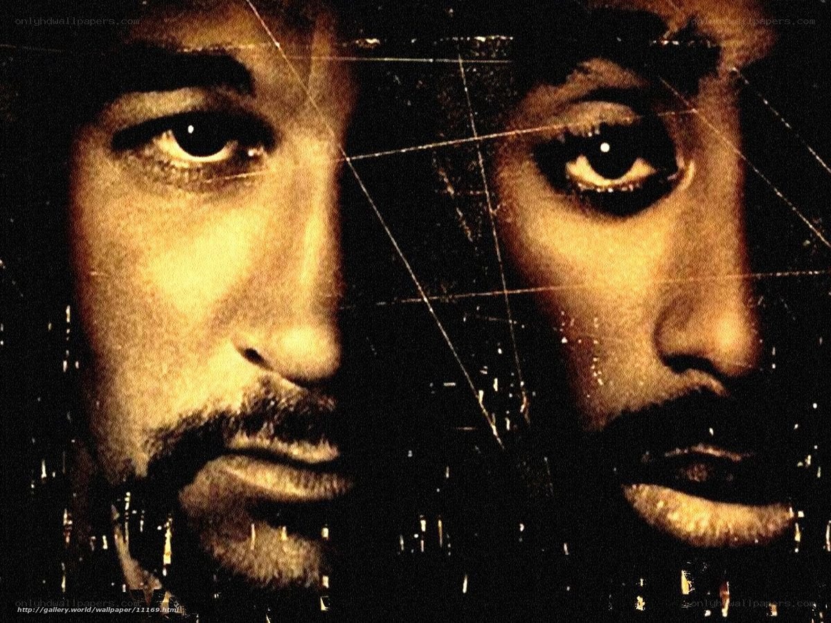 close-up of two faces