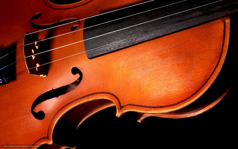Close-up of Violin Body — Brown