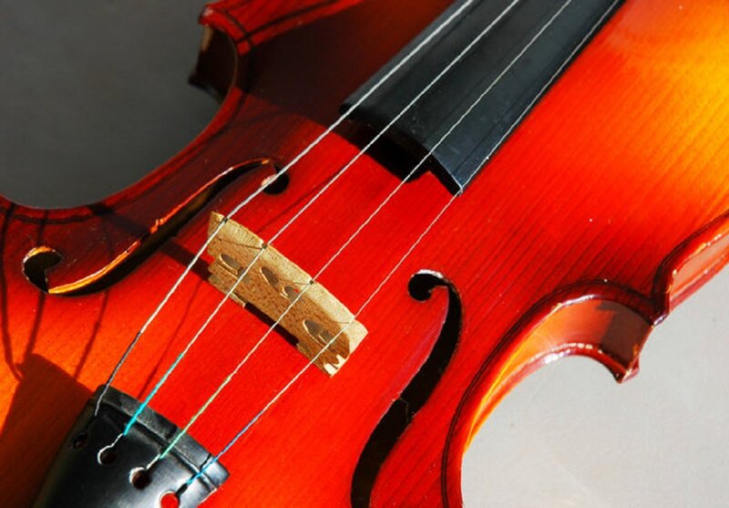 Close-up of Violin Body