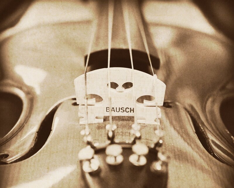 Close-up of Violin Bridge — Sepia