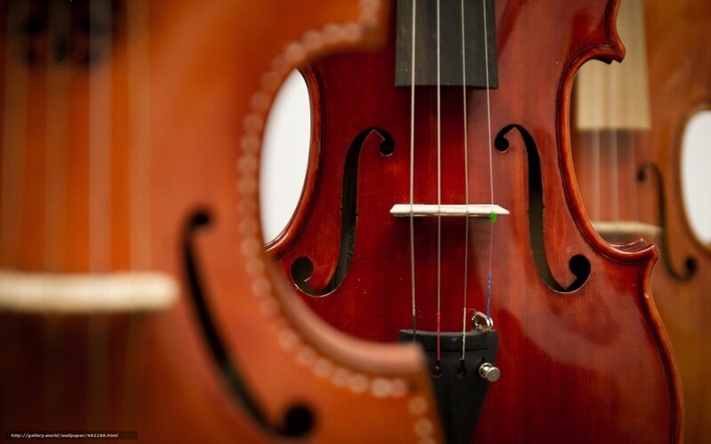 Close-up of Violin — Brown, Calm
