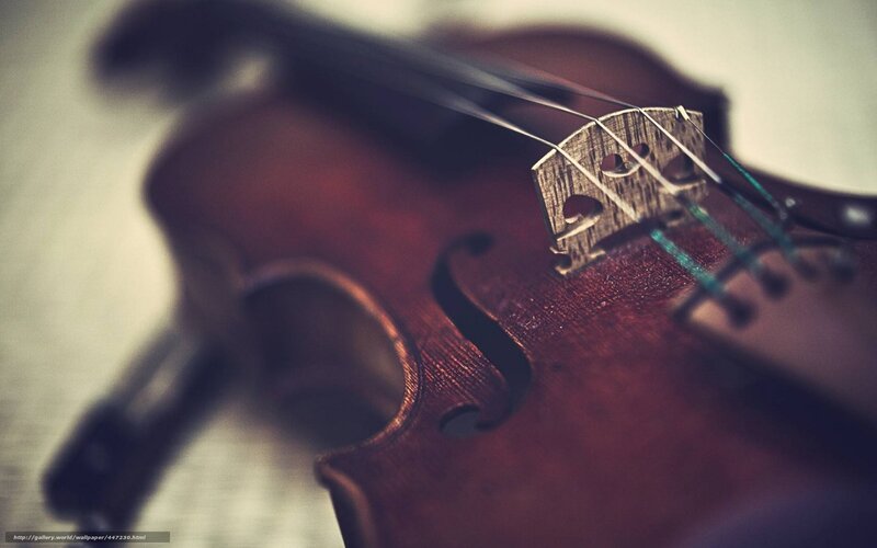Close-up of Violin — Brown