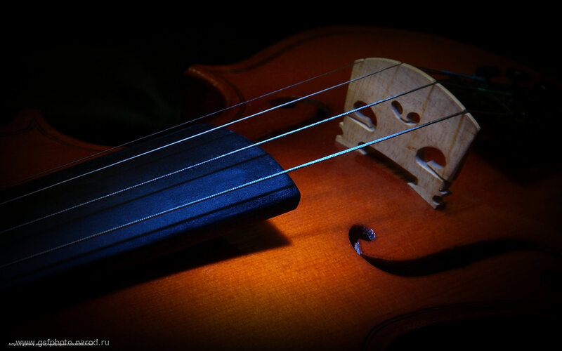 Close-up of Violin Strings — Brown