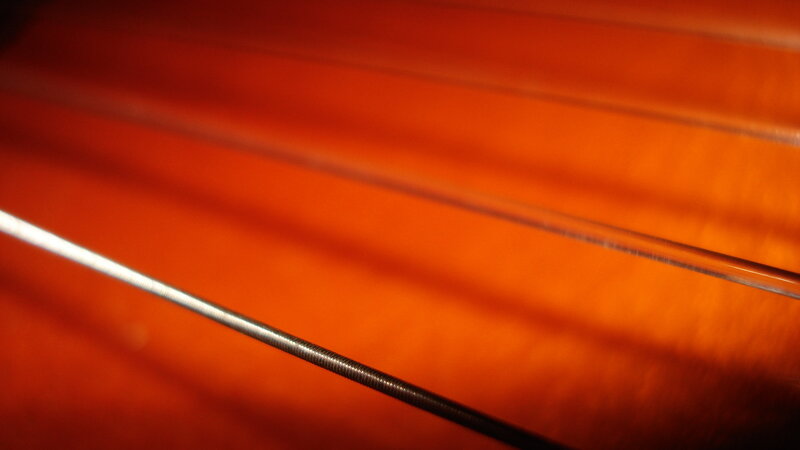 Close-up of violin strings