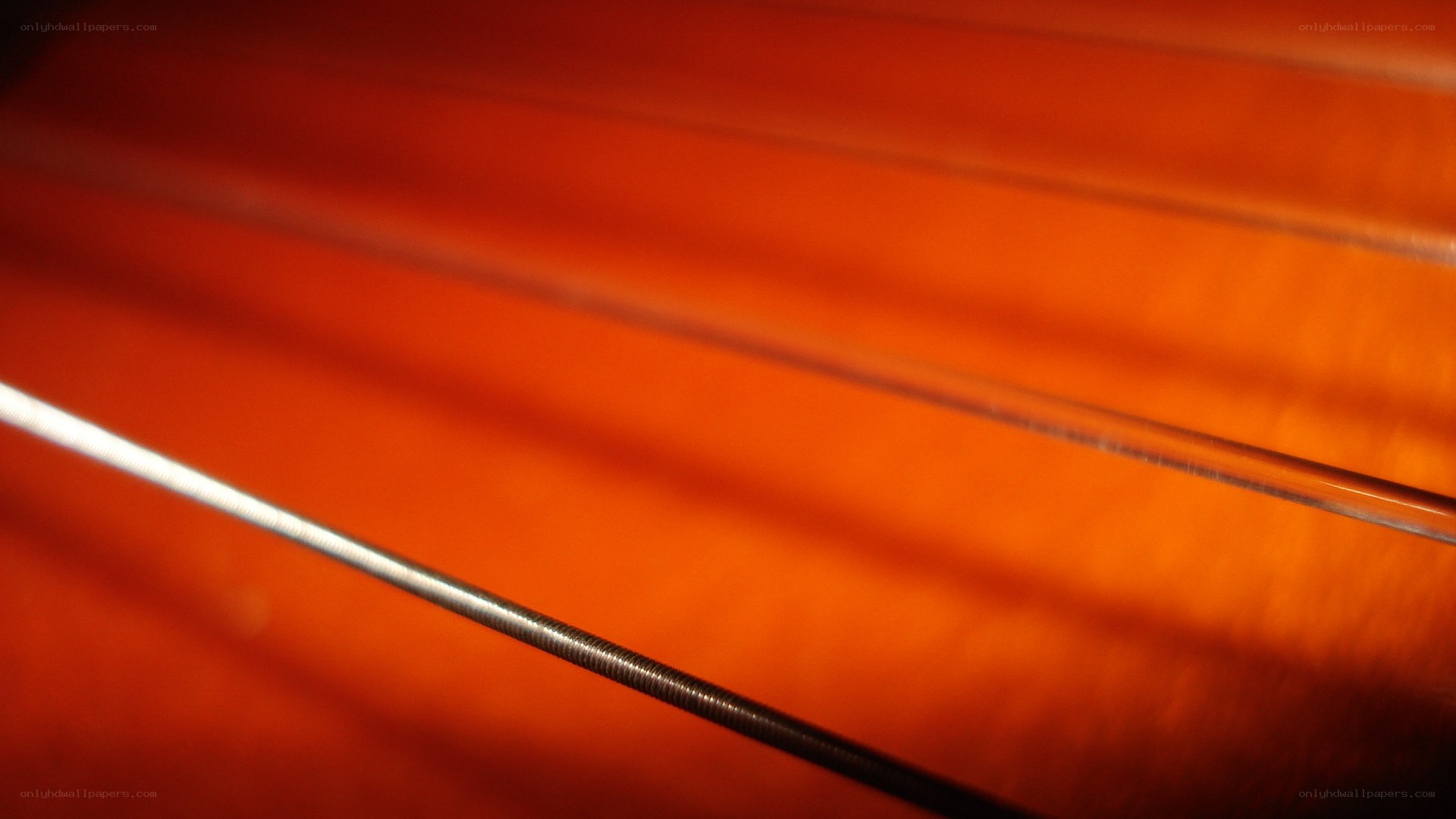 Close-up of violin strings