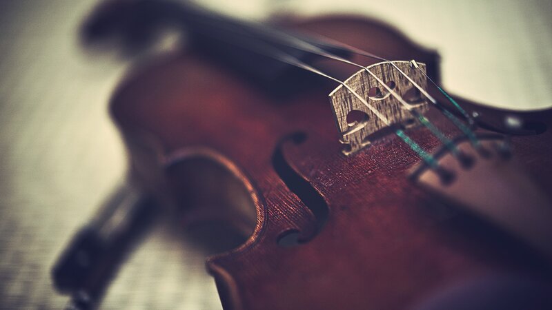 Close-up of Violin