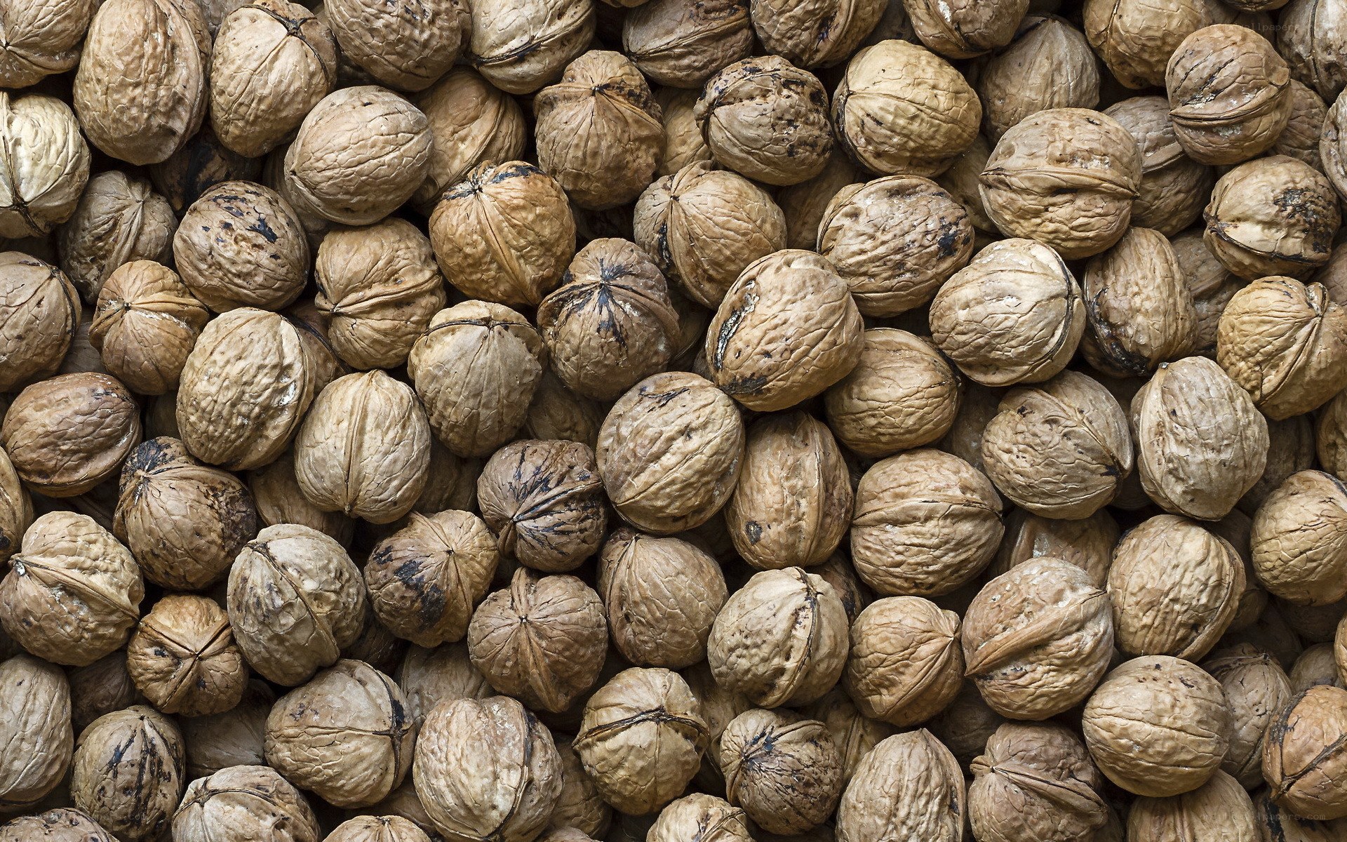 Close-up of walnuts