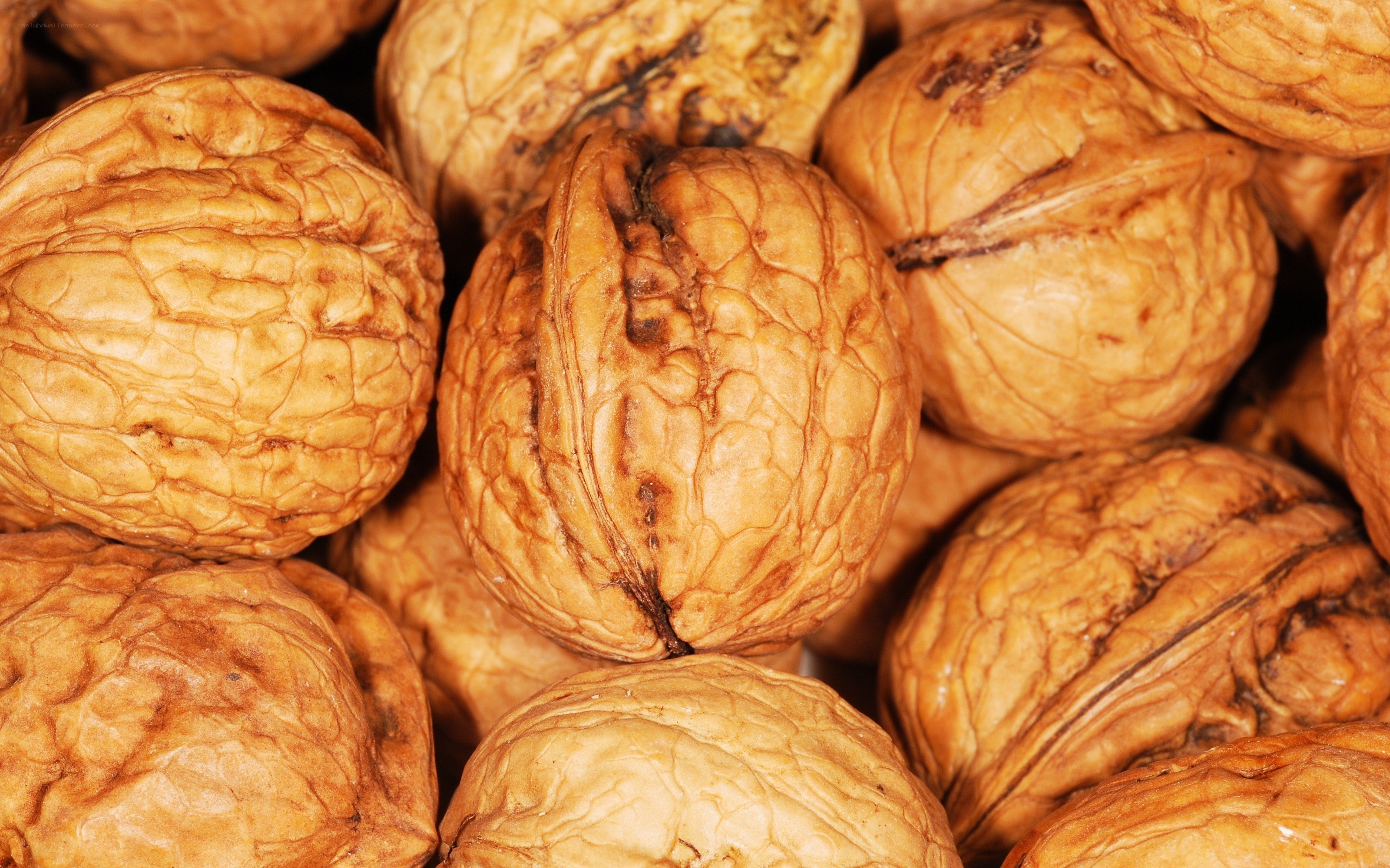 close-up of walnuts
