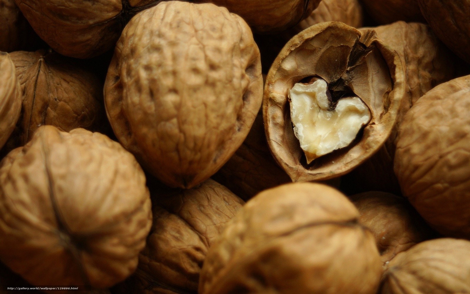 Close-up of walnuts