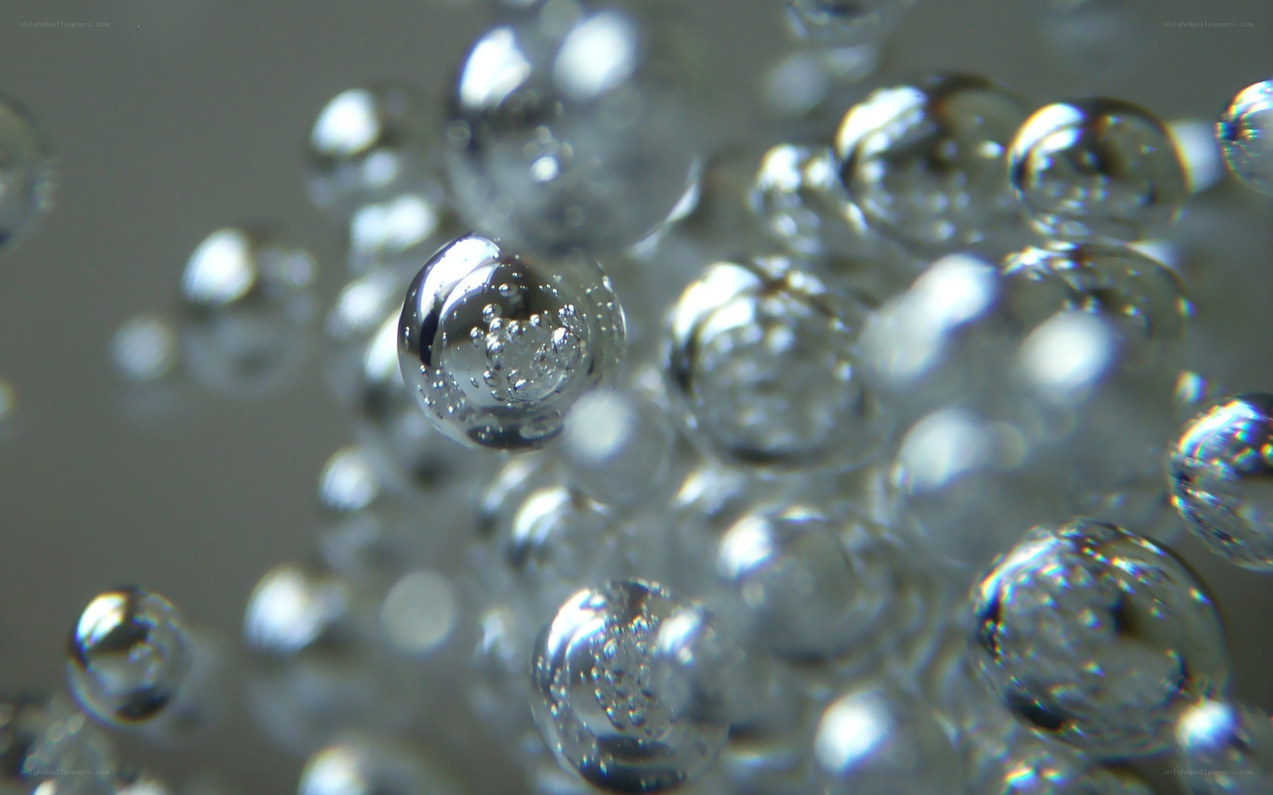 Close-up of water bubbles