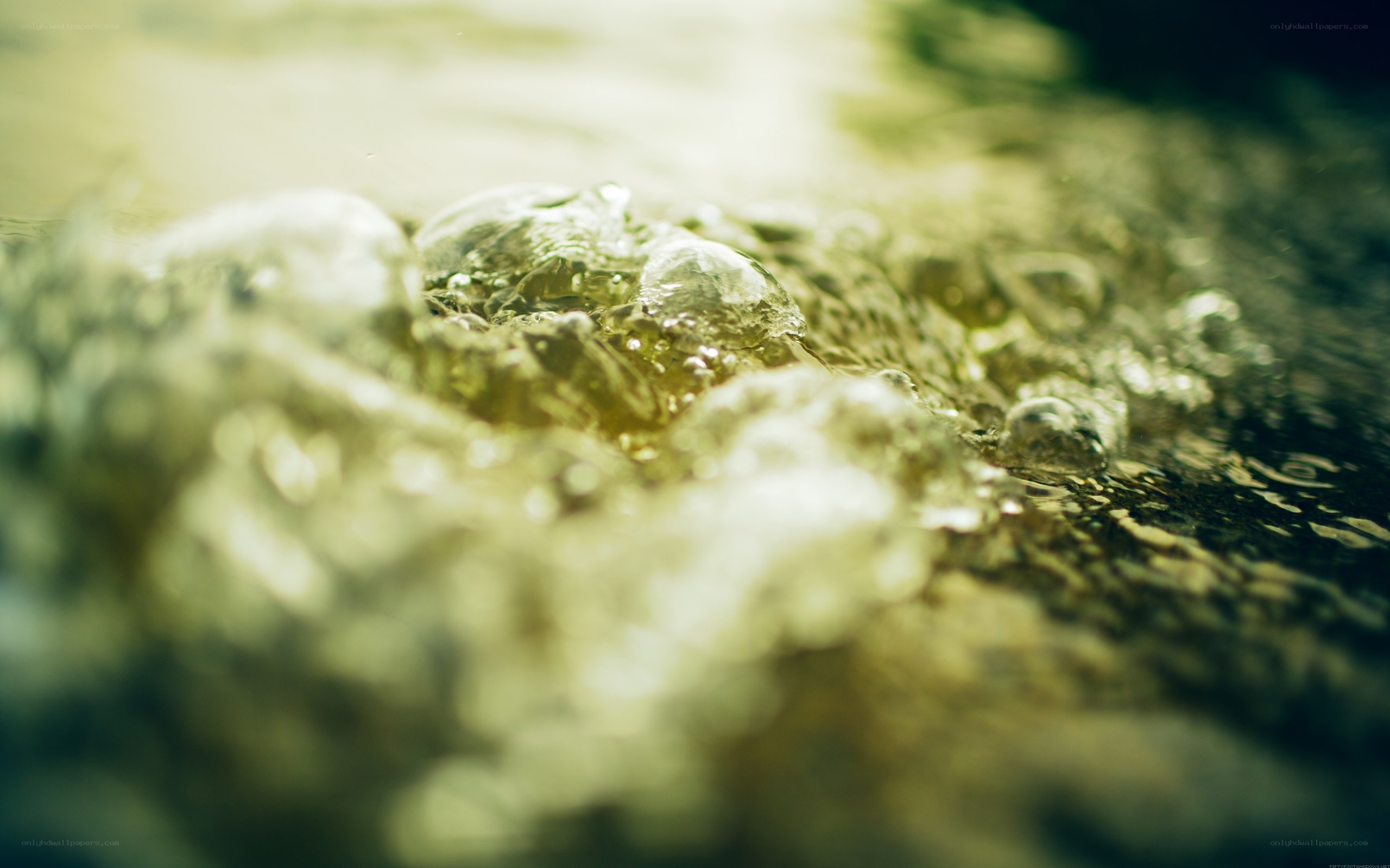 Close-up of water bubbles
