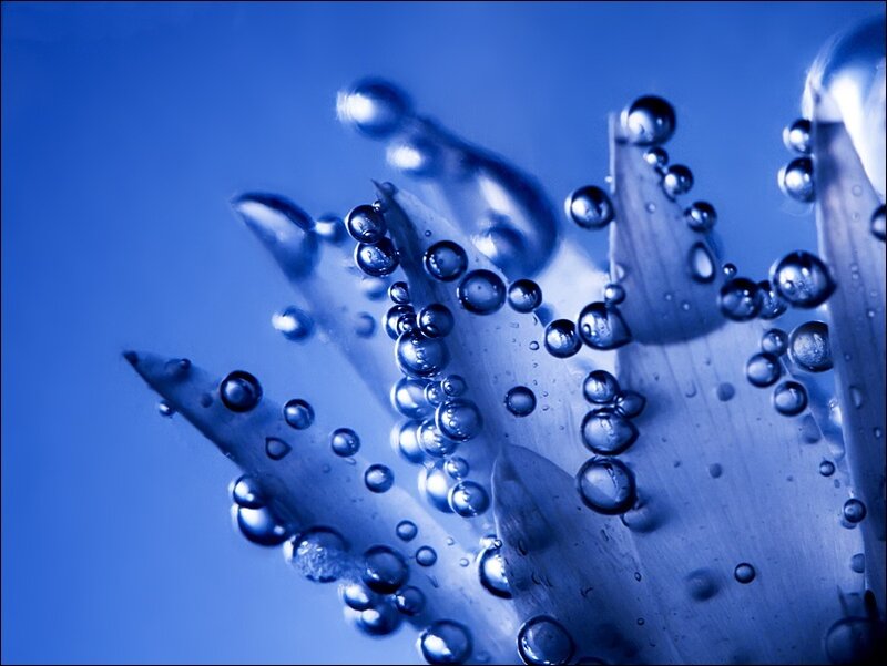 Close-up of Water Droplets — Blue