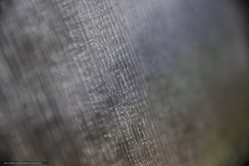 Close-up of Water Droplets — Gray