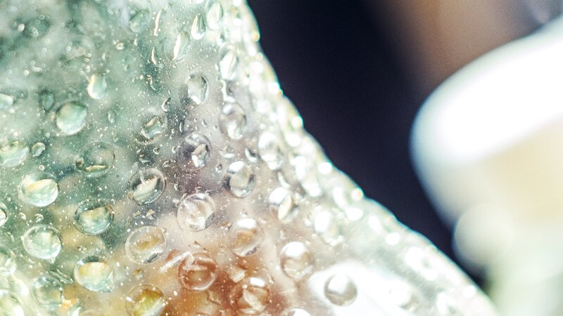 Close-up of Water Droplets — Green