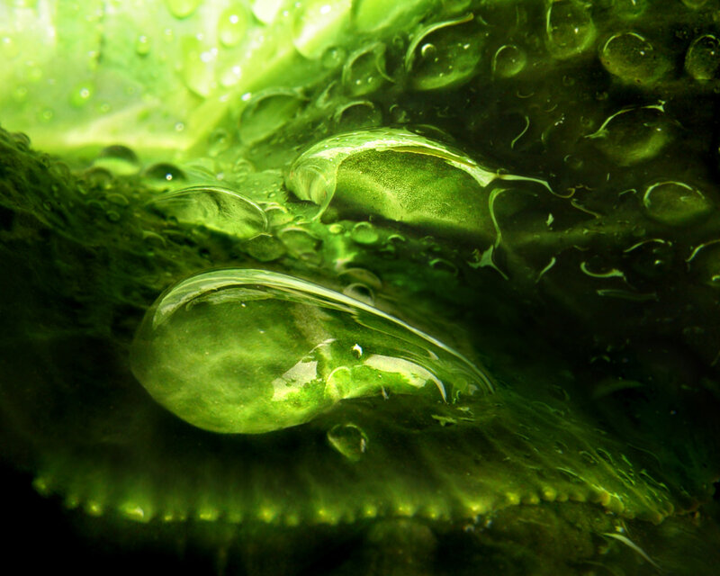 Close-up of water droplets on green leaf