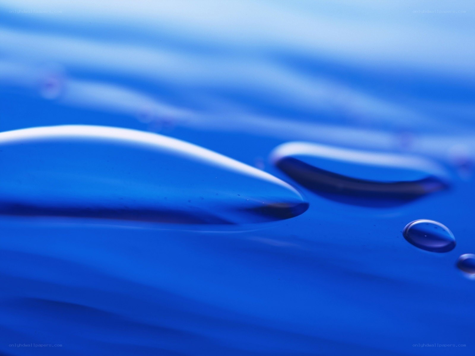 Close-up of water droplets
