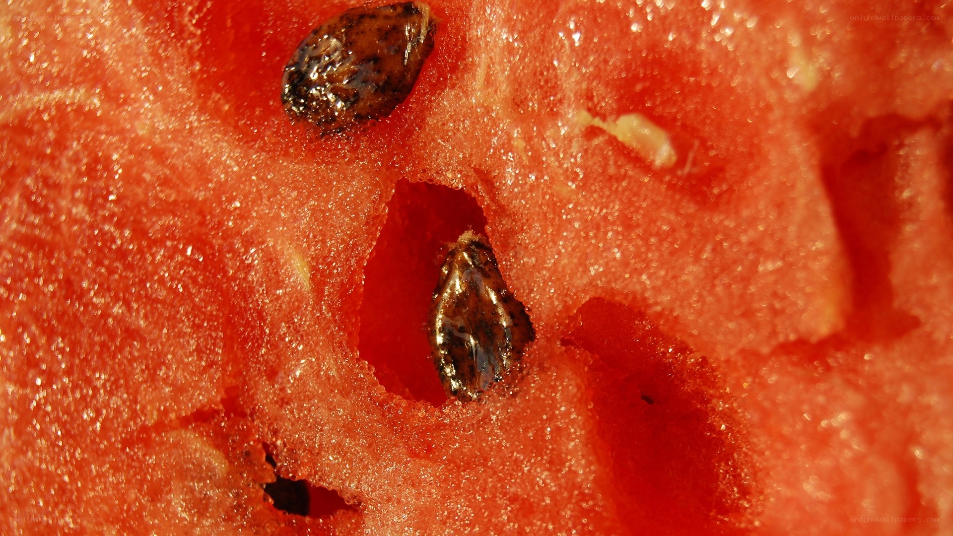 close-up of watermelon flesh