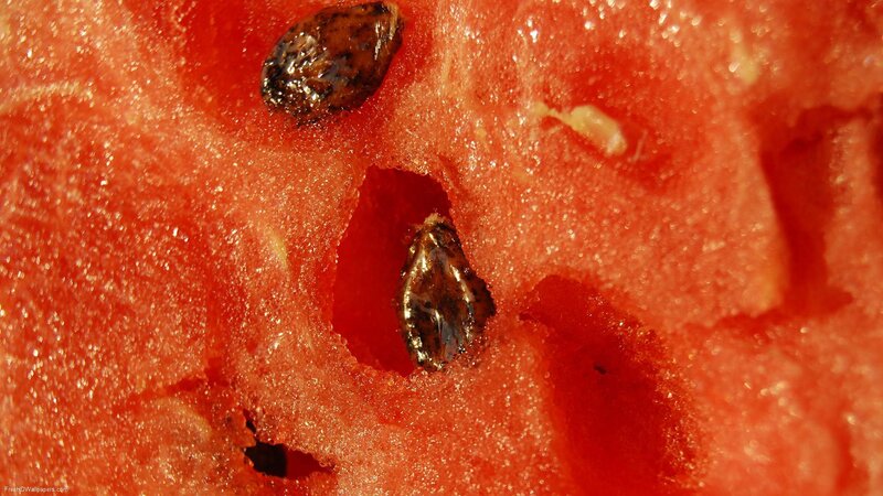 close-up of watermelon flesh