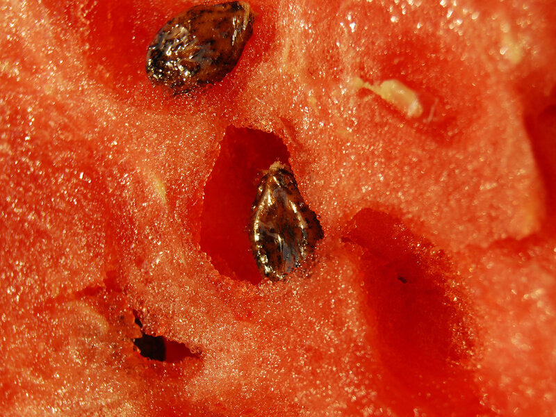 close-up of watermelon flesh