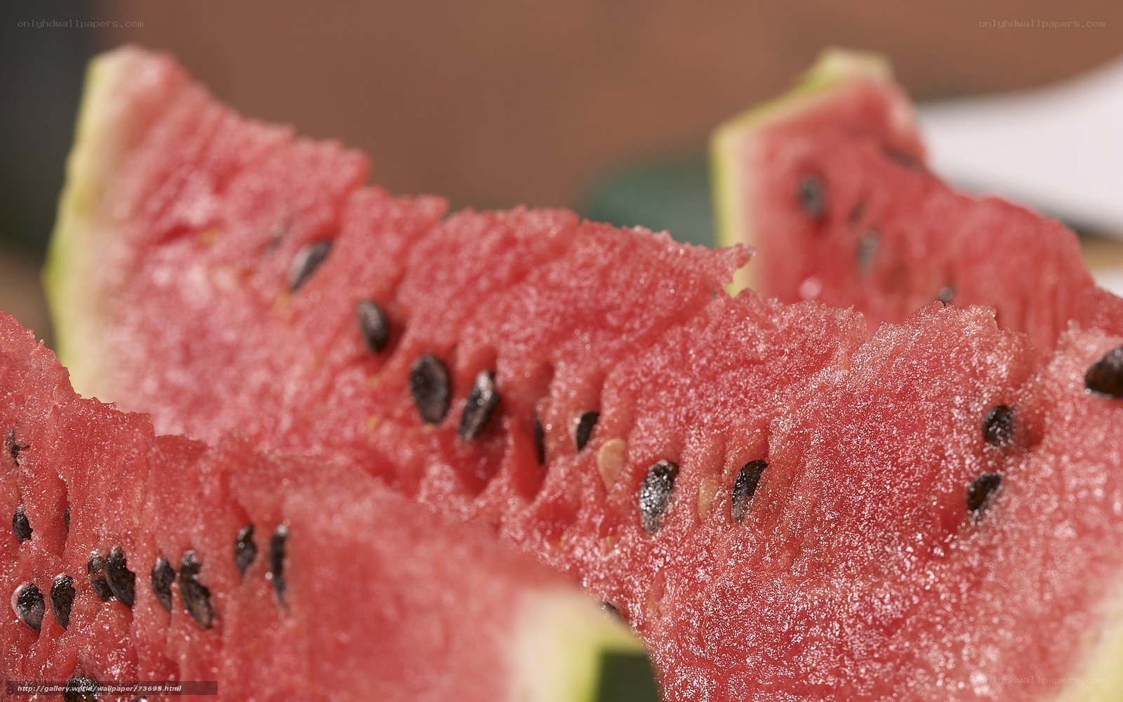 Close-up of watermelon slices