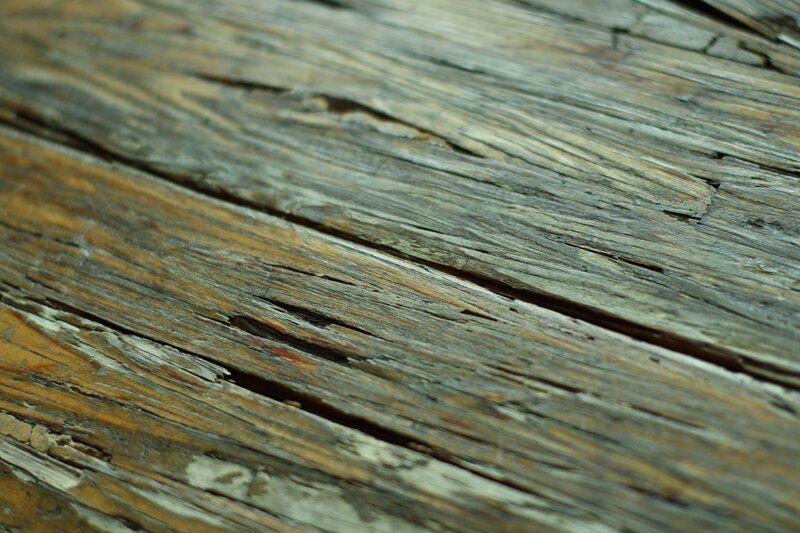 close-up of weathered wood