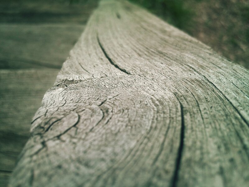 close-up of weathered wood