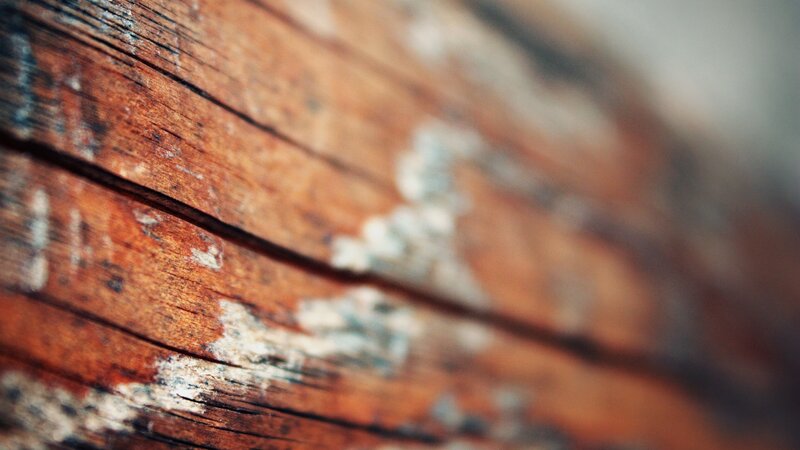 close-up of weathered wood