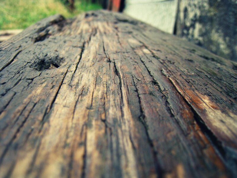 close-up of weathered wood