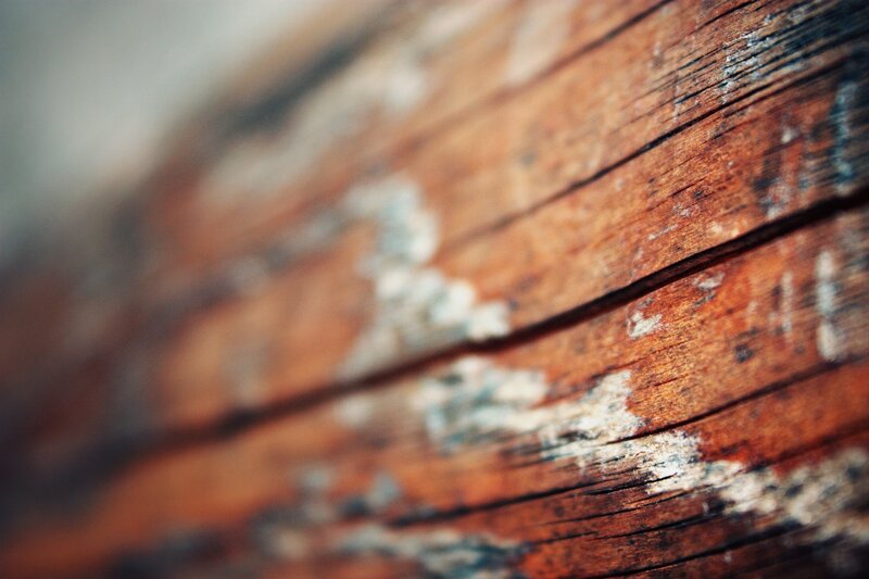 close-up of weathered wood