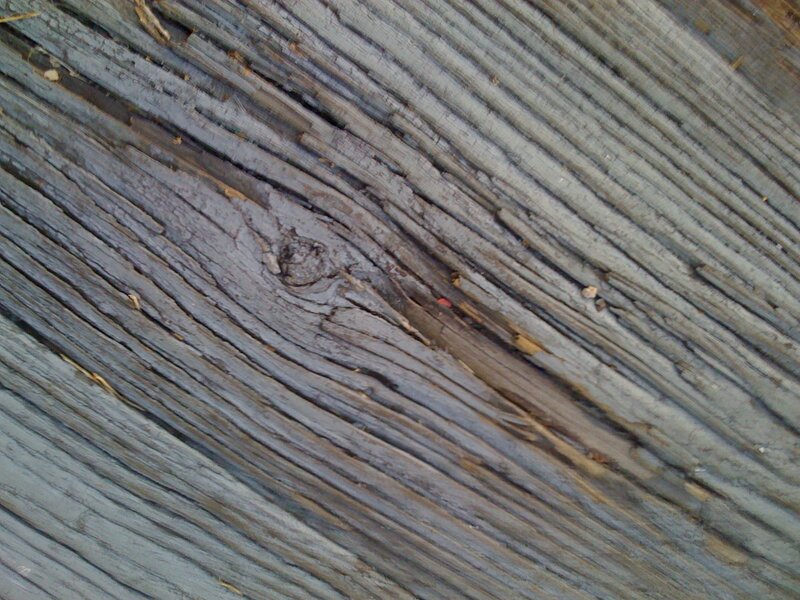 close-up of weathered wood