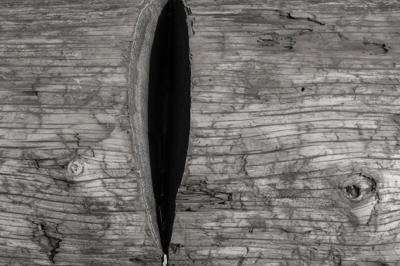 close-up of weathered wood