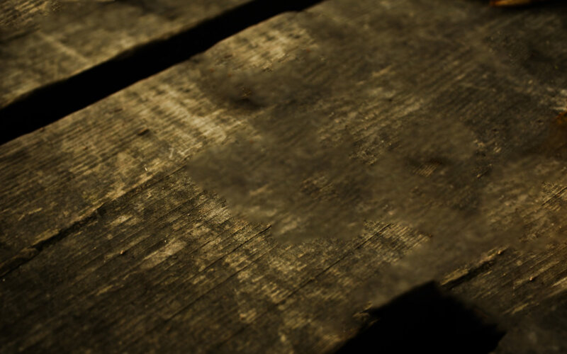 close-up of weathered wood