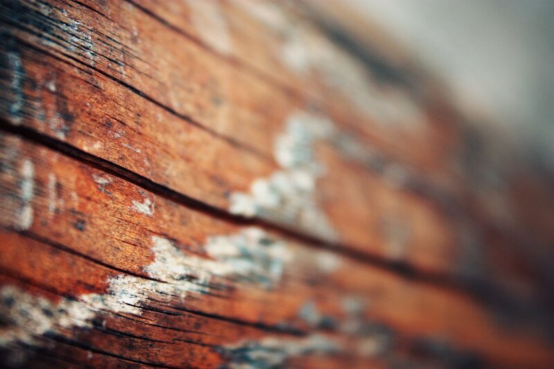 close-up of weathered wood
