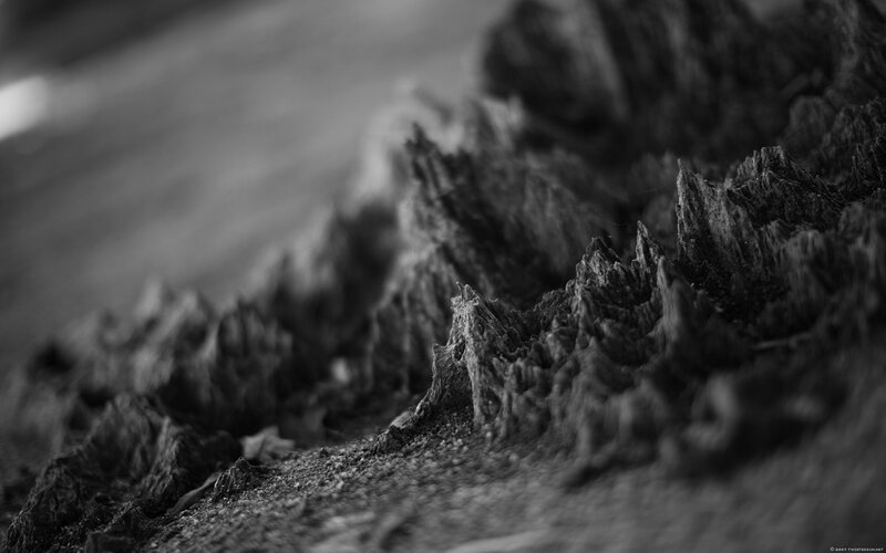 Close-up of Weathered Wood — Black, Textured, Photograph
