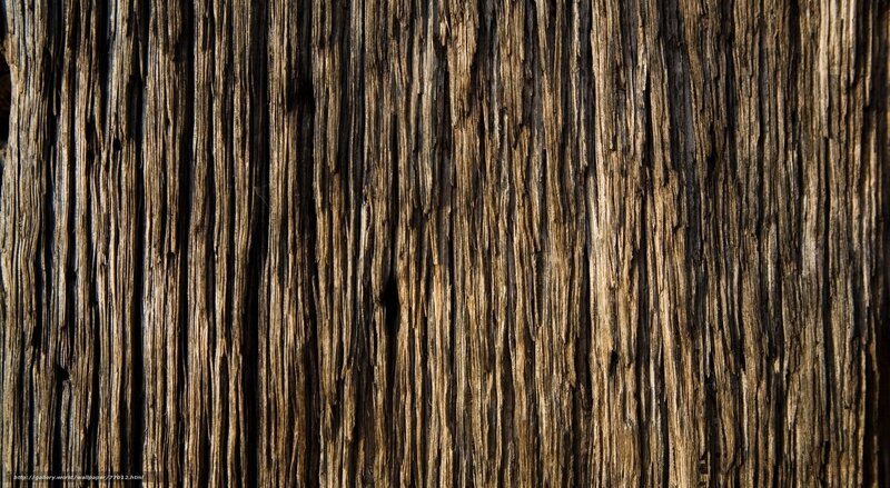 Close-up of Weathered Wood — Brown