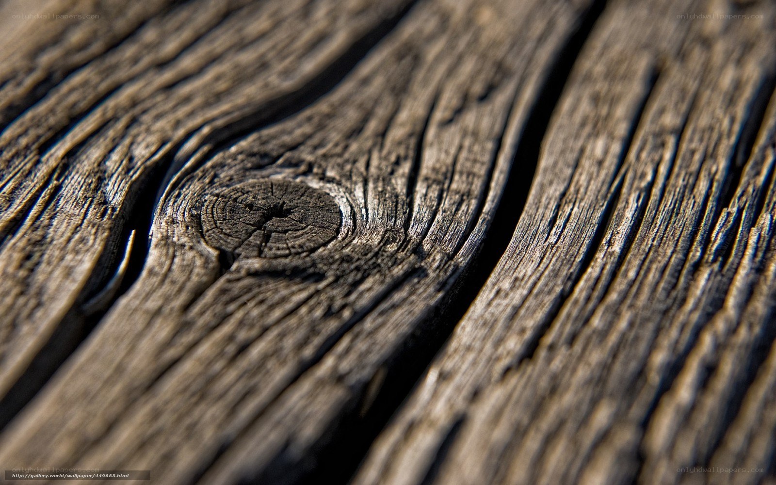 close-up of weathered wood grain