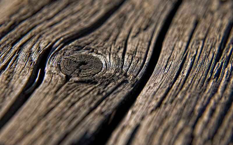 close-up of weathered wood grain