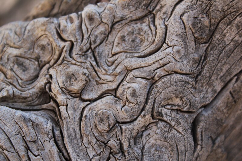 close-up of weathered wood grain