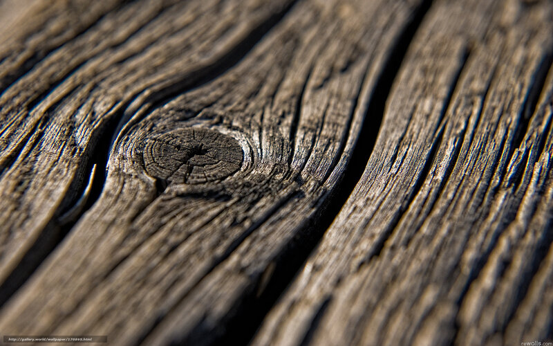 Close-up of weathered wood grain