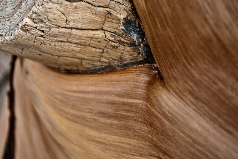 Close-up of weathered wood texture